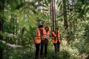 6 TAHAPAN PERENCANAAN HUTAN UNTUK MENDUKUNG PENGELOLAAN SUMBER DAYA BERKELANJUTAN
