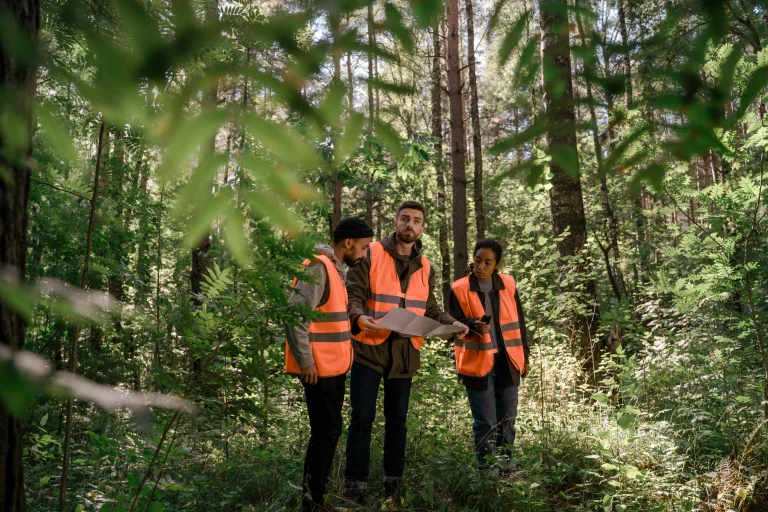 6 TAHAPAN PERENCANAAN HUTAN UNTUK MENDUKUNG PENGELOLAAN SUMBER DAYA BERKELANJUTAN